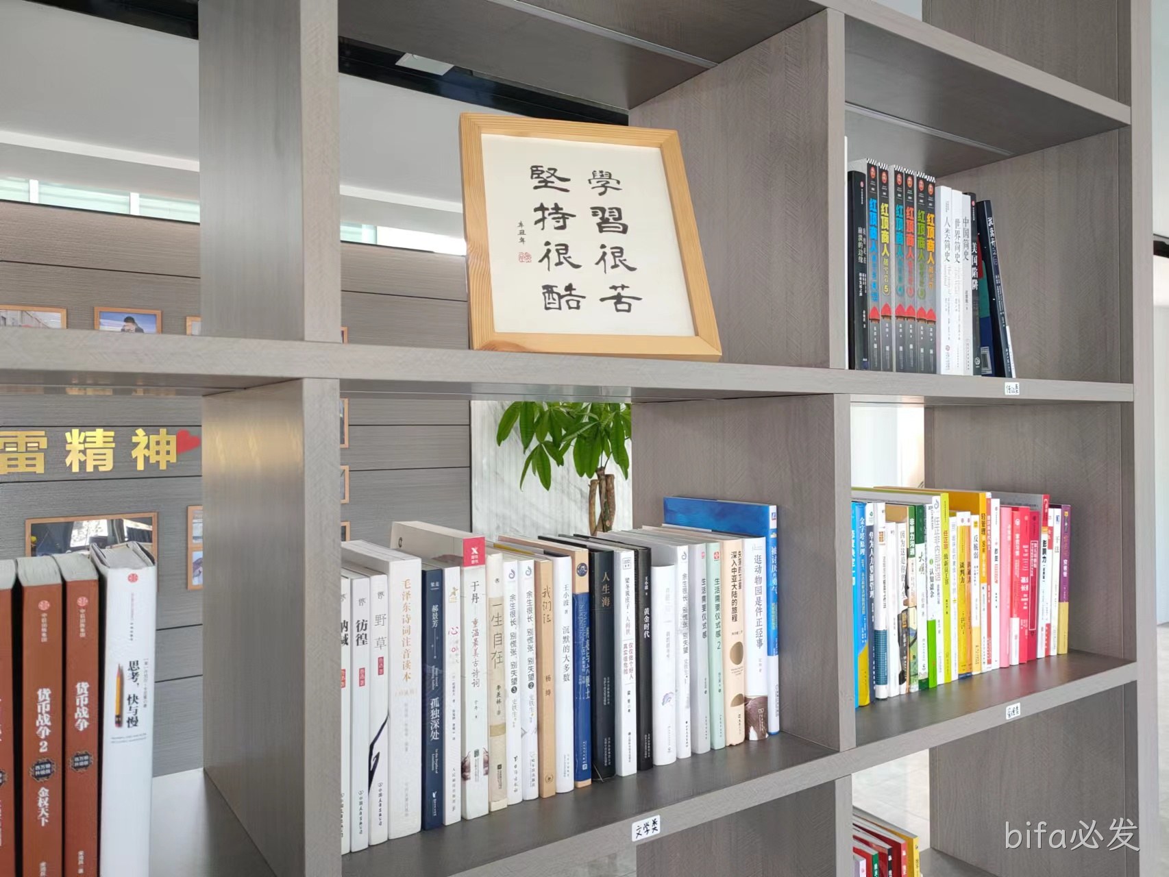 第三届bifa必发学习月